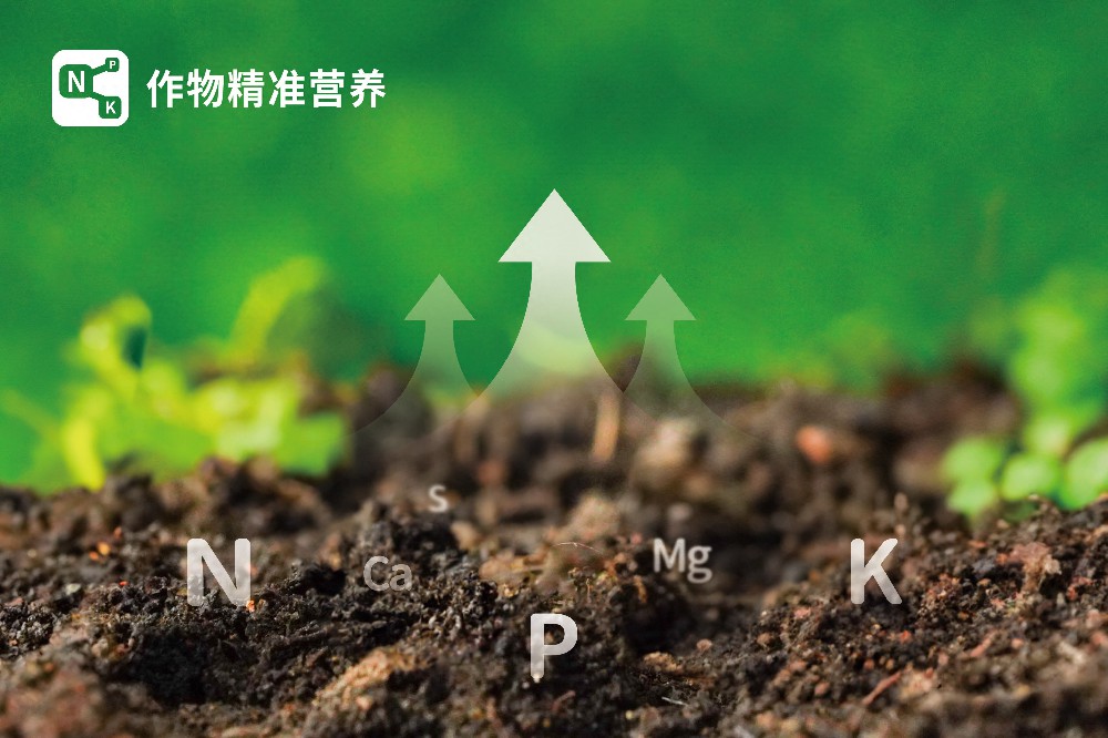 作物精准营养：配方精准、用量精准、使用时间精准、施肥位置精准